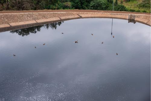 Sewage treatment plant