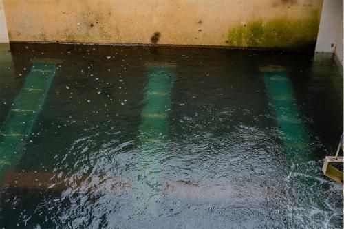 Mukangu Treatment works