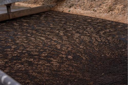 Sewage treatment plant