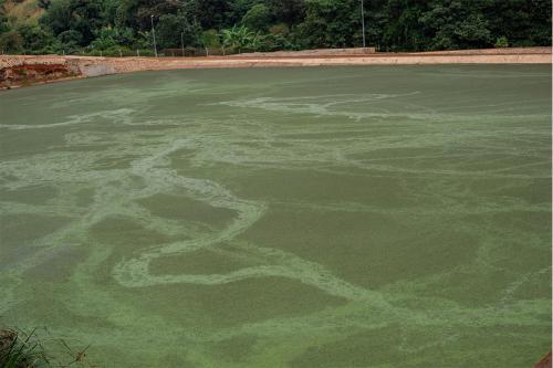 Sewage treatment plant